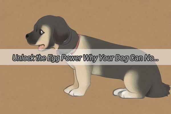 Unlock the Egg Power Why Your Dog Can Now Enjoy the Nutritious Delight of Eggs